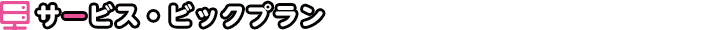 サービス[ビックプラン]