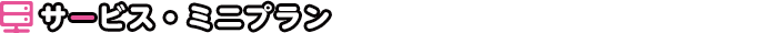 サービス[ミニプラン]